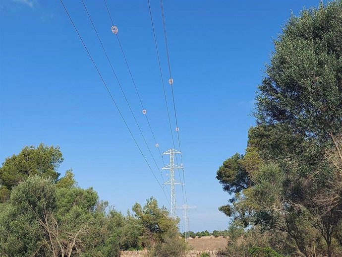 Endesa reutiliza y recicla la práctica totalidad de los residuos generados en las tareas de mantenimiento de la red.