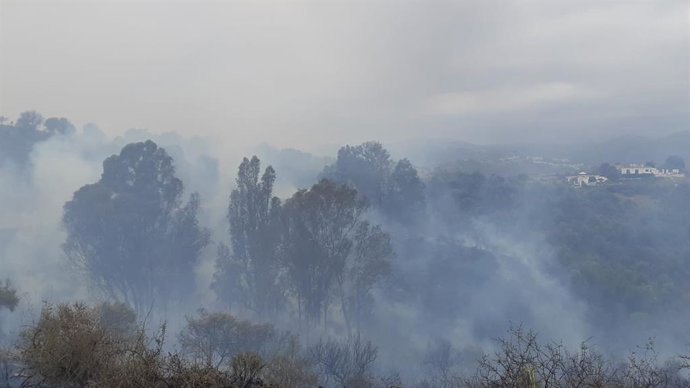 Incendio forestal en el paraje Cerro del Mesto en Mijas (Málaga)