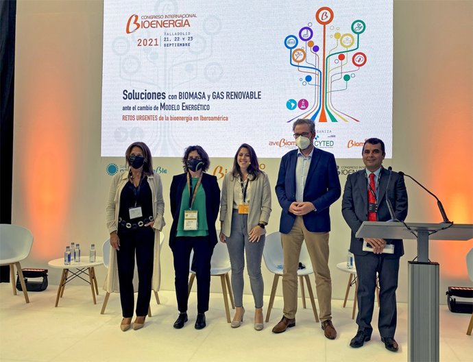 Los participantes en el Congreso Internacional de Bioenergía.