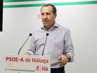 PSOE de Málaga valora "celeridad" con la que el Consejo de Ministros ha declarado Sierra Bermeja como zona catastrófica