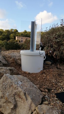 Trampa para la polilla del boj.