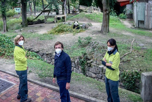 El alcalde de Madrid, José Luis Martínez-Almeida.