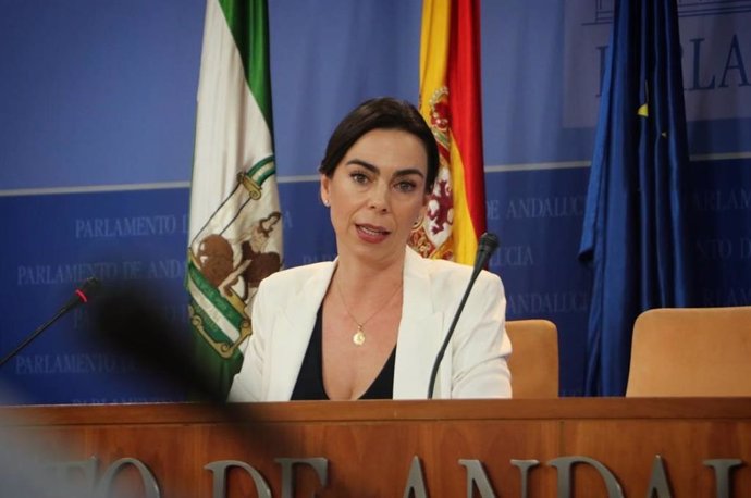 La portavoz de Cs en el Parlamento de Andalucía, Teresa Pardo, este miércoles en rueda de prensa.