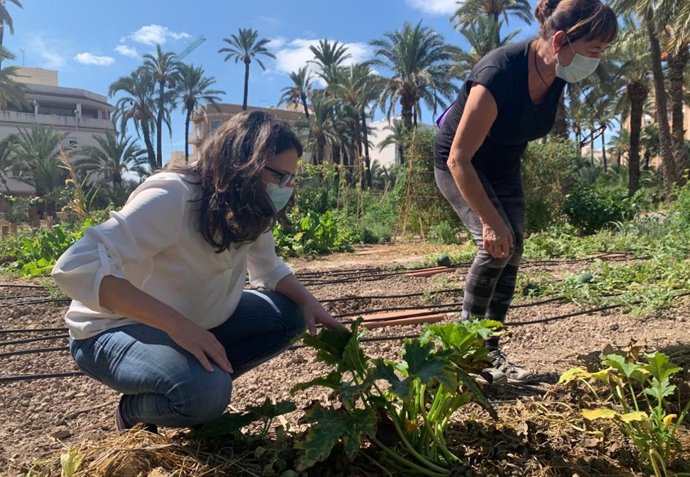 Oltra visita un huerto urbano en Elche