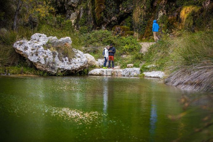 Archivo - Los recorridos se pueden consultar en la web.