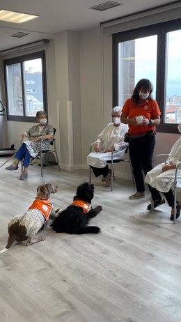 Hospital Sagrat Cor y Fundación Affinity impulsan un programa de terapias con perros