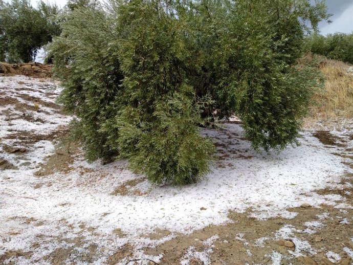 Trombas de agua y granizadas