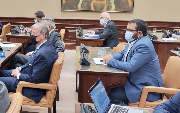 El senador de MÉS per Mallorca, Vicen Vidal, el portavoz adjunto al Parlament, Josep Ferr.