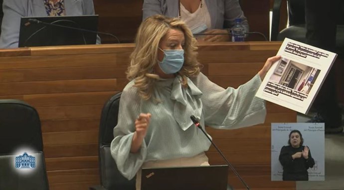 La portavoz del PP en la Junta General, Teresa Mallada