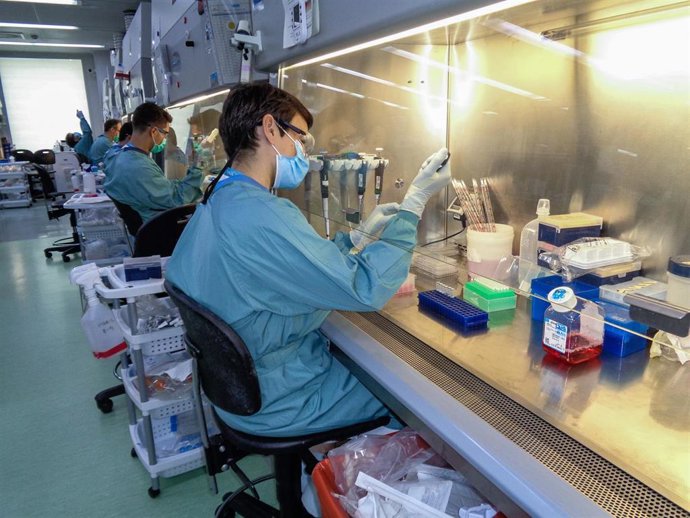 Investigadores del Instituto de Investigación del Sida IrsiCaixa y del Centro de Investigación en Sanidad Animal (CReSA) del Instituto de Investigación y Tecnología Agroalimentarias (Irta) han participado en este estudio