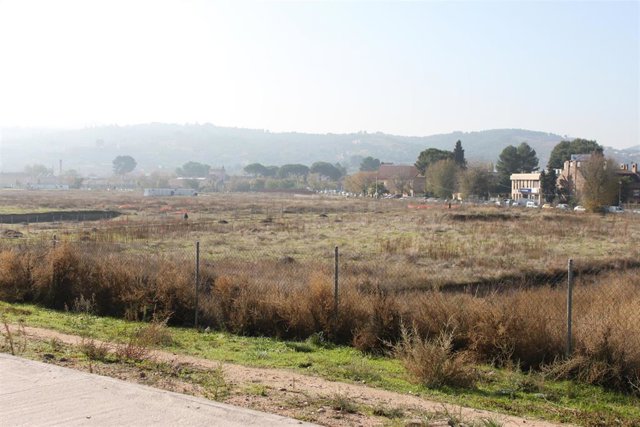 Archivo - YACIMIENTO ARQUEOLÓGICO VEGA BAJA