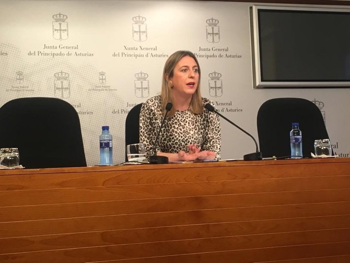 Archivo - La diputada del PP en la Junta General Reyes Fernández Hurlé