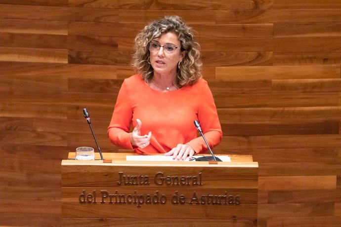 La portavoz de Ciudadanos en la Junta General, Susana Fernández.