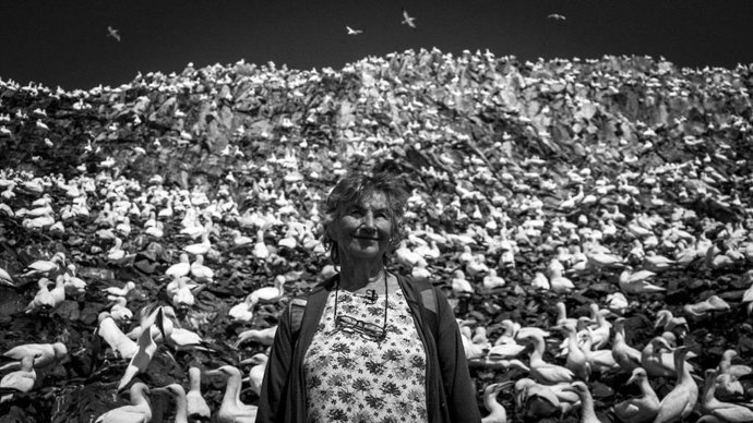 Documental 'Life on the Rocks'