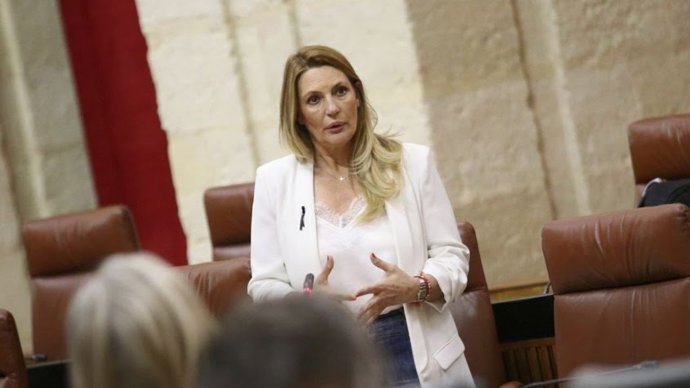 La parlamentaria andaluza de Cs, Concha Insúa