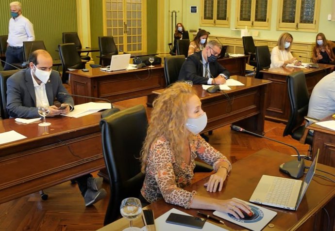 Comisión de Economía en el Parlament.