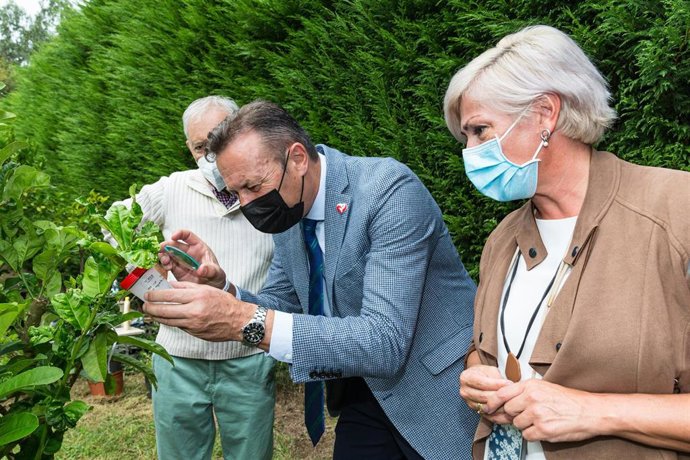El consejero de Desarrollo Rural, Guillermo Blanco, y la alcaldesa de Polanco, Rosa Díaz, asisten a la suelta experimental de ejemplares de un parasitoide para combatir la psila africana