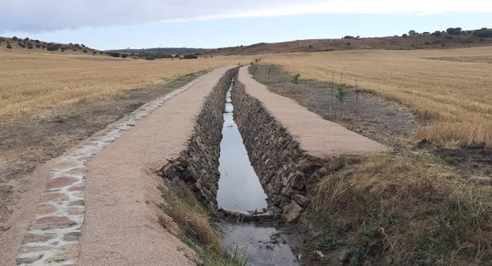 Humedal del nacimiento del río Jalón recuperado.