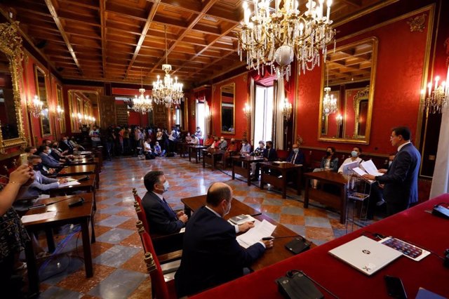 El hasta hoy alcalde de Granada, Luis Salvador (Cs), formaliza su "renuncia voluntaria" al cargo en el pleno municipal