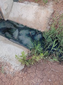 Amigos de la Tierra advierte de un vertido de aguas no depuradas en el humedal del Área Natural Singular de Cofín en Alfaro