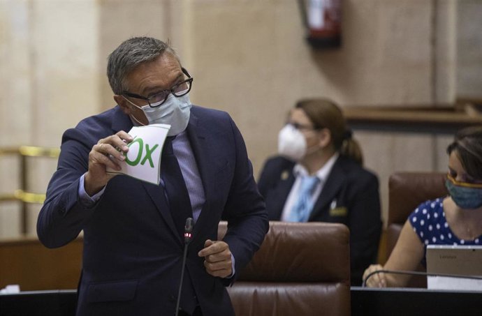 El portavoz del grupo parlamentario Vox, Manuel Gavira, en una foto de archivo en el Pleno del Parlamento andaluz.