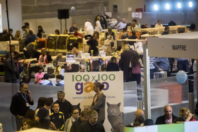 Vídeo de la noticia