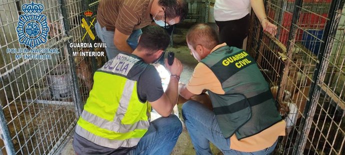 Vídeo de la noticia