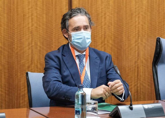 El director general de Contratación de la Consejería de Hacienda, Alejandro Torres, este viernes durante su comparecencia en la Comisión de la Faffe.
