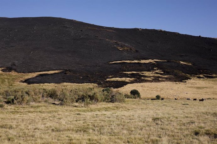 Archivo - Terreno calcinado durante el ncendio en el término abulense de Navalacruz, a 16 de agosto de 2021, en Ávila, Castilla y León (España). El fuego se inició en Navalacruz este sábado y permanece activo en el nivel 2 con afección provisional de al