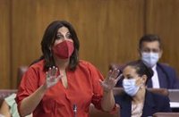 PSOE-A enmienda el proyecto de Ley de Tasas que "conlleva un aumento de la carga impositiva a todas luces inoportuna"