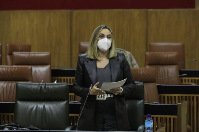 Archivo - La consejera Marifrán Carazo