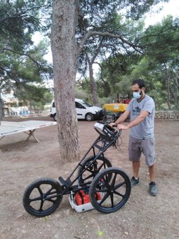 Evaluación mediante georadar del estado del arbolado del bosque de Bellver.