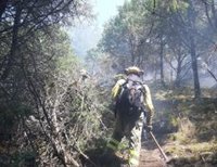 Bomberos forestales, al paro con el fin de la campaña de incendios: "Muchos regresan incluso a casa de sus padres"
