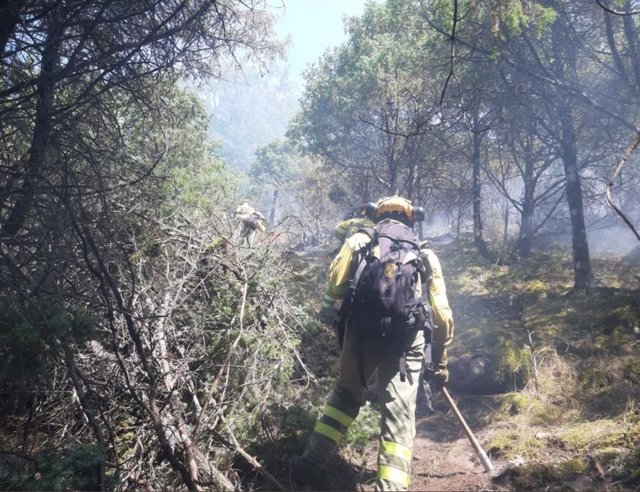 Archivo - Imagen de archivo de bomberos forestales.