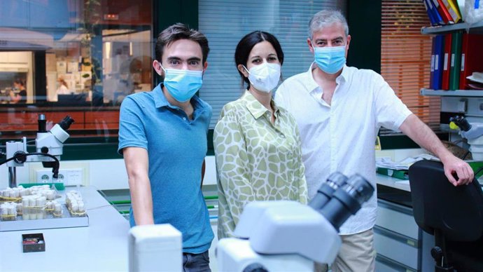 Los investigadores Magny, Platero y Couso.