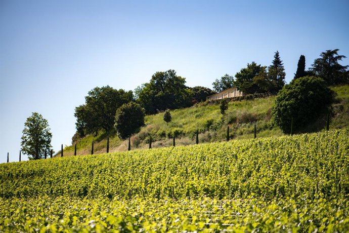 Chteau Quintus Grows with the Acquisition of Chteau Grand-Pontet