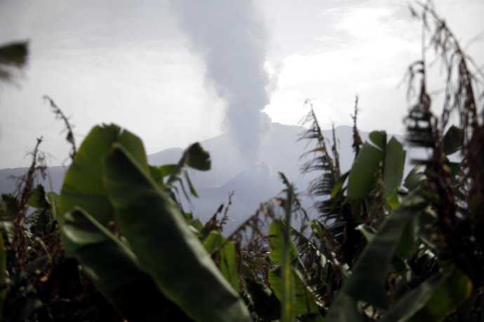 El volcán de Cumbre Vieja en La Palma emite fumarolas de humo, a 27 de septiembre en Las Manchas, La Palma, Santa Cruz de Tenerife, Canarias (España).