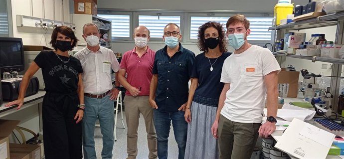 El equipo, formado por personal investigador de la UPV, CSIC, IVIA y la Universidad de Durham (Reino Unido) ha trabajado con dos variedades alternantes de mandarina: la Nadorcott y la Moncada
