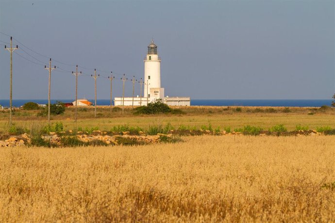 Archivo - Vista general sobre el Faro de la Mola.