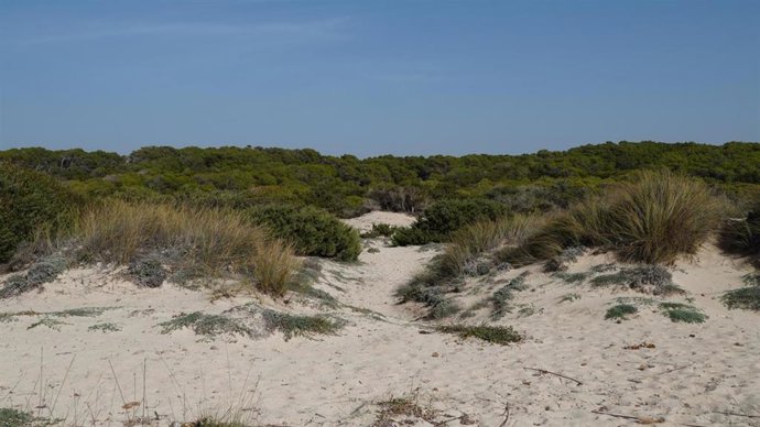 Dunas del Parque Natural de Es Trenc.