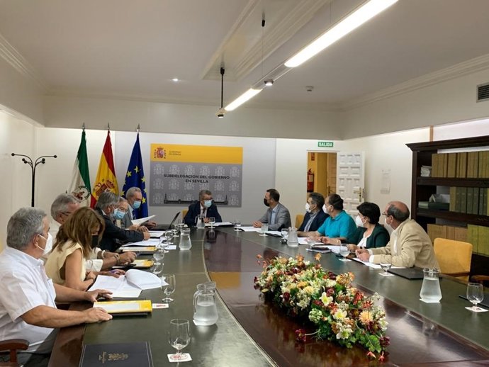 Comisión de seguimiento del Profea en Sevilla