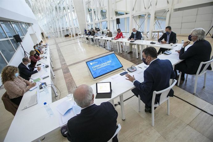Reunión del 'Consello Galego de Convivencia'.