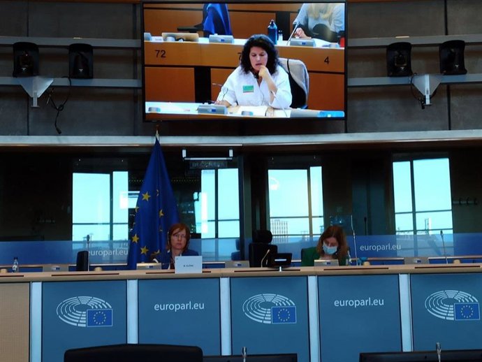 Imagen de la participación de la diputada de Adelante Andalucía, Maribel Mora, en la reunión en Bruselas del Grupo de la Izquierda Europea.