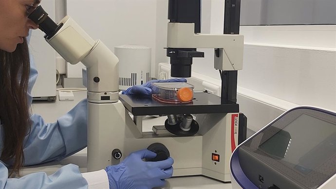 Investigadores de Ainia