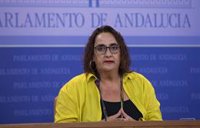 Adelante ve una "estafa" el plan de Atención Primaria y reclama a la Junta más medios humanos y materiales para sanidad