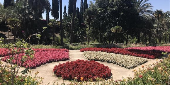 1. El Ayuntamiento de Málaga adjudica el espectáculo navideño en el Jardín Botánico a una empresa especializada en eventos