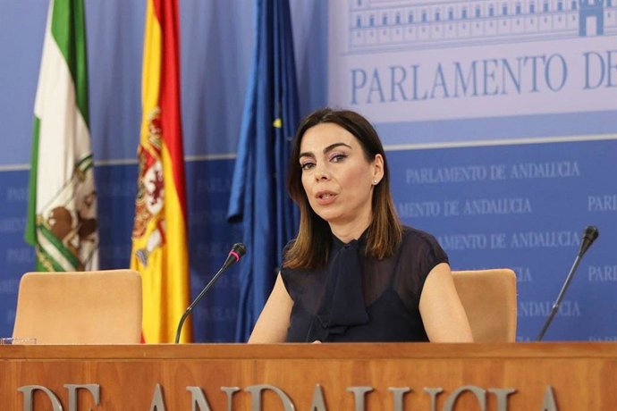 La portavoz de Cs en el Parlamento de Andalucía, Teresa Pardo, este miércoles en rueda de prensa.