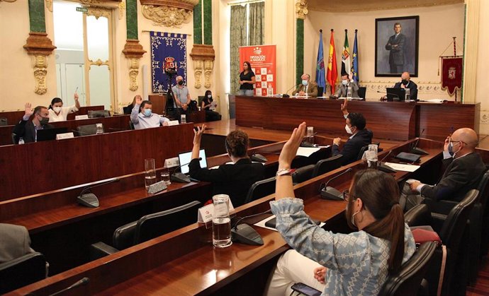 Votación en el Pleno de la Diputación de Badajoz.