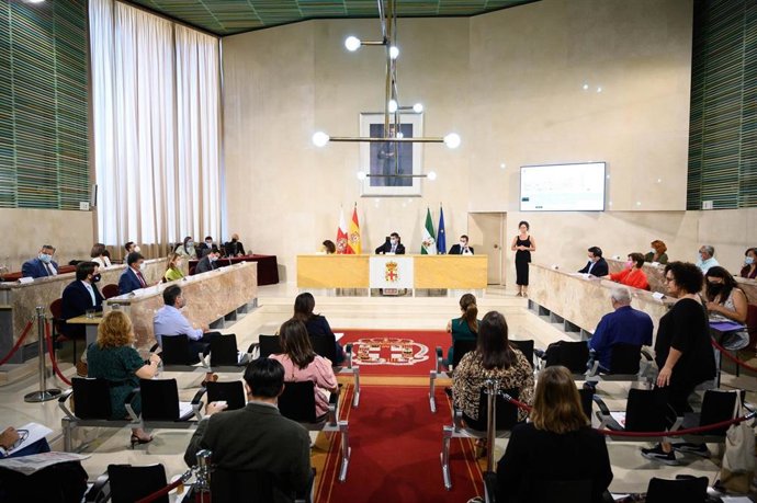 Archivo - Pleno del Ayuntamiento de Almería en una imagen de archivo. 