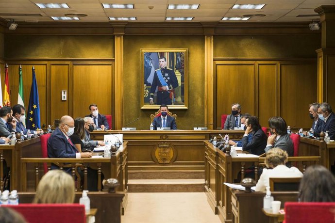 Pleno presencial de la Diputación Provincial de Almería
